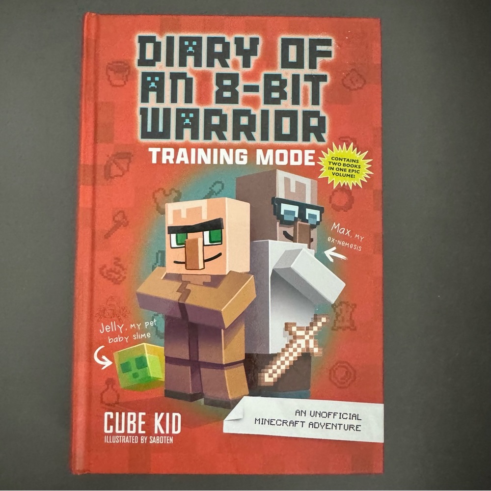 Diary of an 8-Bit Warrior Book